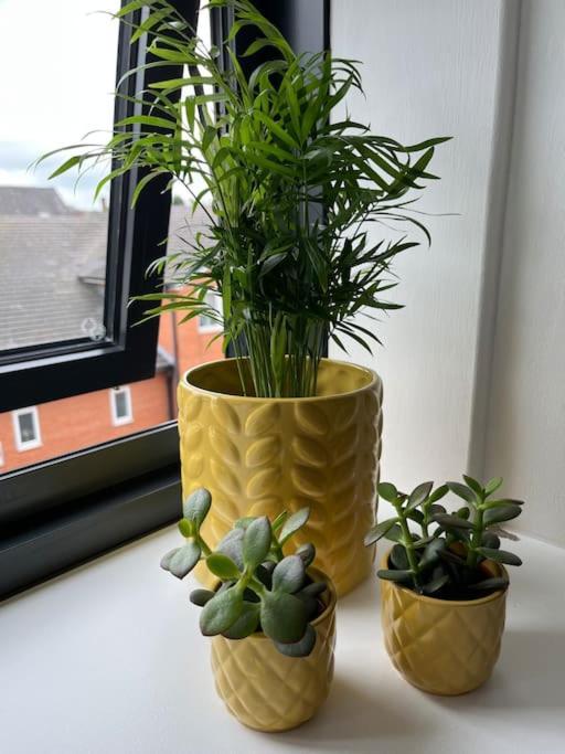 No5 At 53 - 2 Bed Apartment In Leek, Staffs Peak District Eksteriør bilde